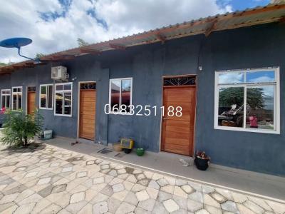 House for rent at Mikocheni, Dar Es Salaam