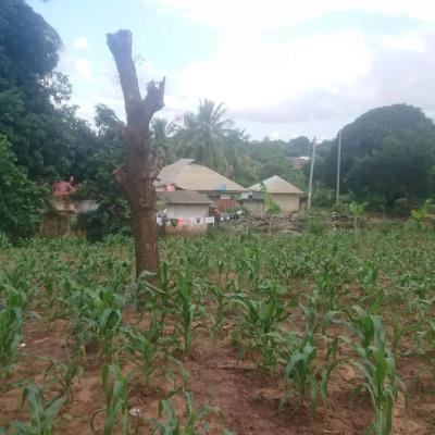 Plot for sale at Bunju, Dar Es Salaam