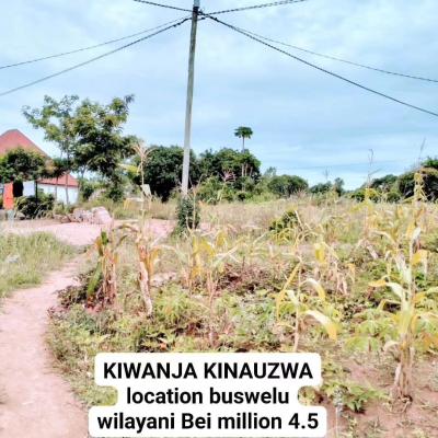 Plot for sale at Buswelu, Mwanza