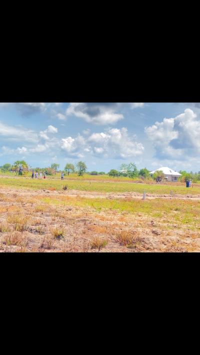 Plots for sale at Kigamboni, Dar Es Salaam