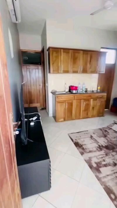 House/Apartment for Rent at Sinza, Dar Es Salaam