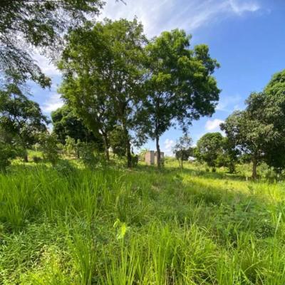 Plot for sale at Mbezi, Dar Es Salaam