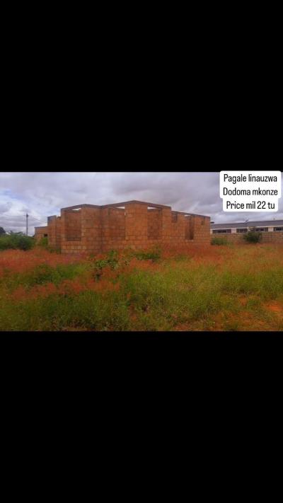 Plot for sale at Mkonze, Dodoma