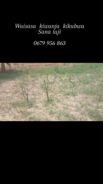 Plot for sale at Kimara, Dar Es Salaam