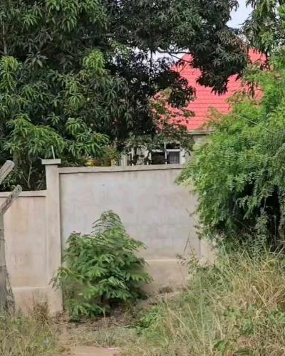 House for Rent at Mbezi, Dar Es Salaam