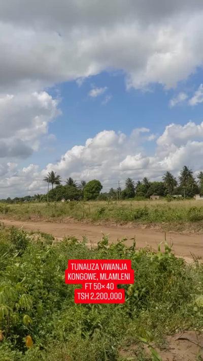 Plots for sale at Kongowe, Pwani