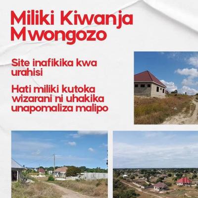 Plots for sale at Kigamboni, Dar Es Salaam