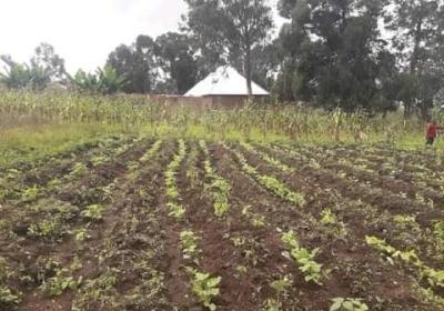 Plot for sale at Iyela, Mbeya