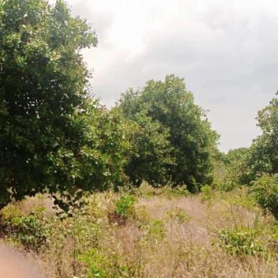 Shamba linauzwa Ikwiriri, Pwani