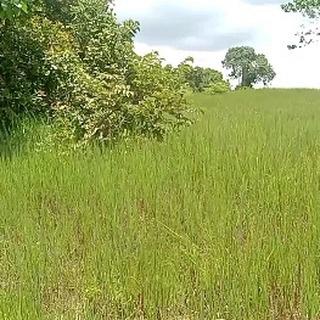 Plot for sale at Tumbi, Pwani