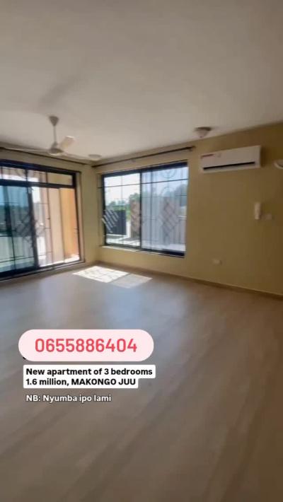 3 Bedrooms House/Apartment for Rent at Makongo, Dar Es Salaam