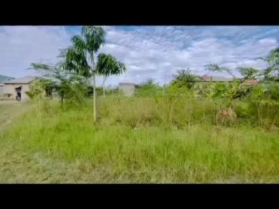 Plot for sale at Mwema, Mara