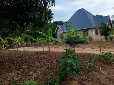 Plots for sale at Mlandizi, Pwani