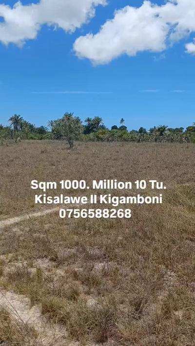 Plots for sale at Kigamboni, Dar Es Salaam