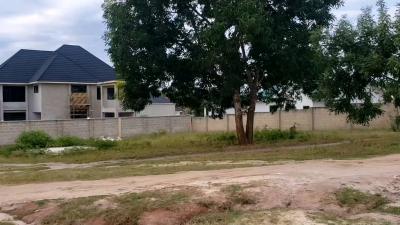 Plots for sale at Tambalale, Tabora