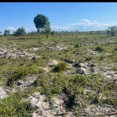 Plot for sale at Mkamba, Pwani