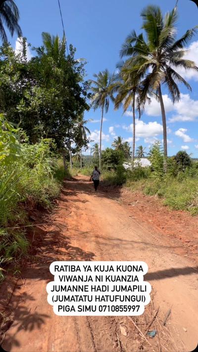 Plots for sale at Kichangani, Morogoro