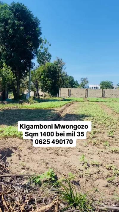 Plot for sale at Kigamboni, Dar Es Salaam