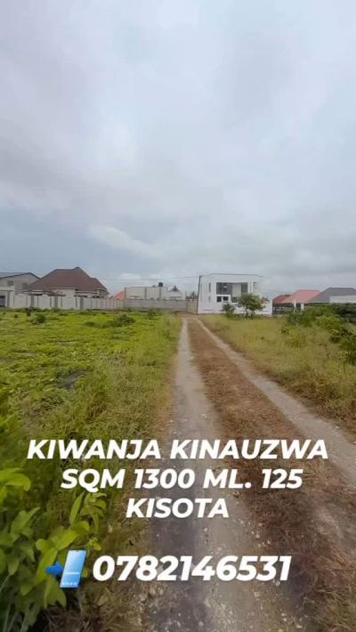 Plots for sale at Kigamboni, Dar Es Salaam