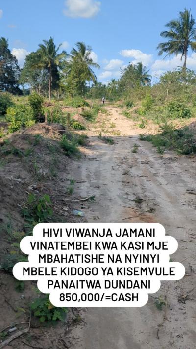 Viwanja vinauzwa Msingi, Singida