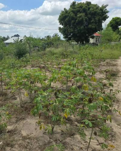 Plot for sale at Goba, Dar Es Salaam