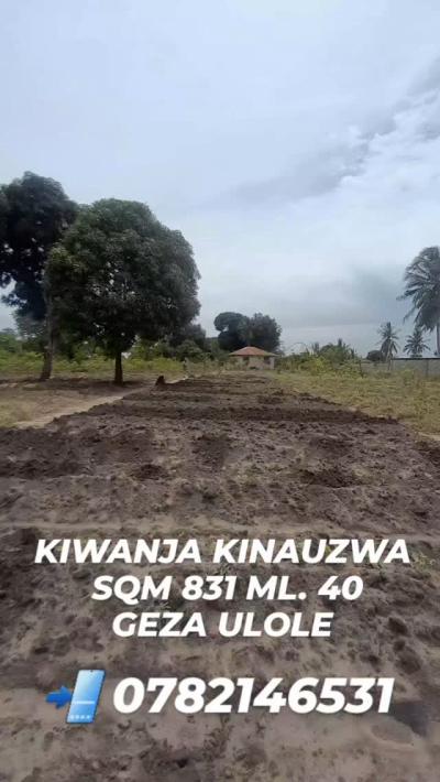 Plots for sale at Kigamboni, Dar Es Salaam