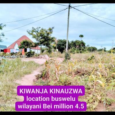 Plot for sale at Buswelu, Mwanza