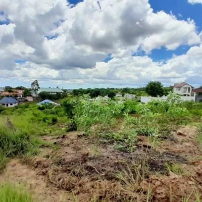 Plots for sale at Mbezi, Dar Es Salaam