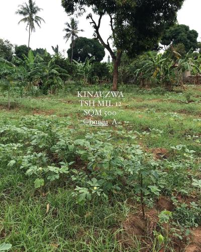 Plot for sale at Bunju, Dar Es Salaam