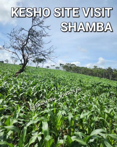 Farms for sale at Talawanda, Pwani