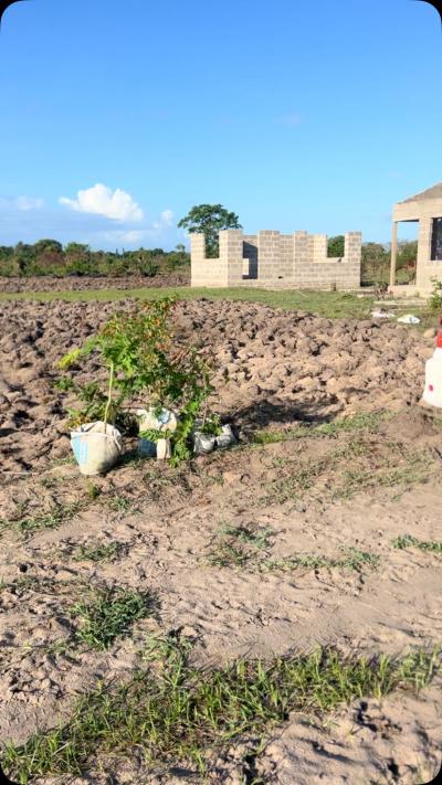 Plots for sale at Bagamoyo, Mbeya