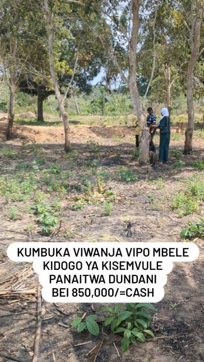 Plots for sale at Msingi, Singida