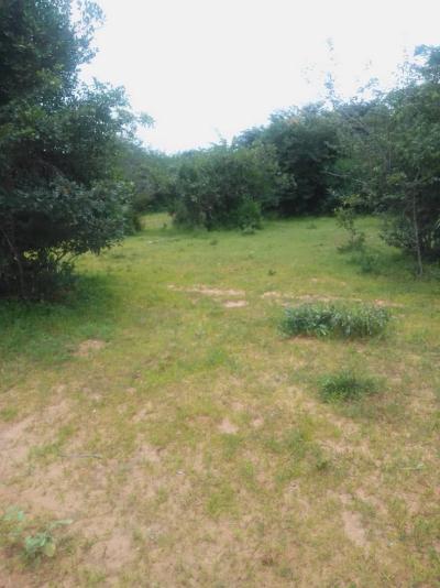 Farm for sale at Heka, Singida