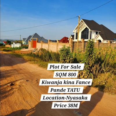 Plot for sale at Nyasaka, Mwanza