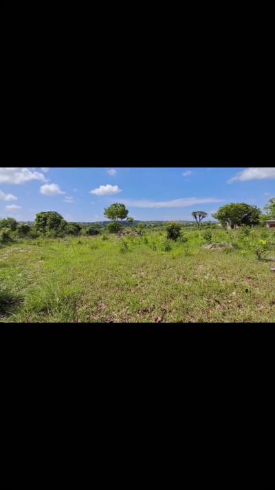 Plots for sale at Mbezi, Dar Es Salaam