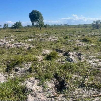 Plot for sale at Mkamba, Pwani