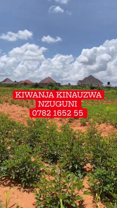 Plot for sale at Nzuguni, Dodoma