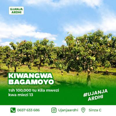 Farms for sale at Kiwangwa, Pwani