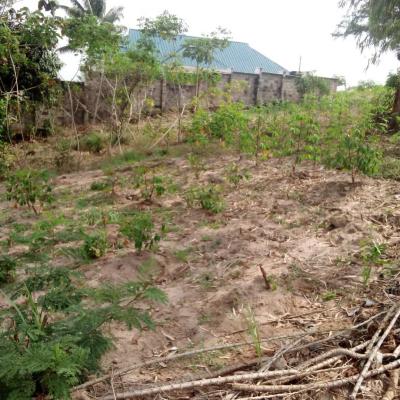 Plot for sale at Mbuyuni, Morogoro