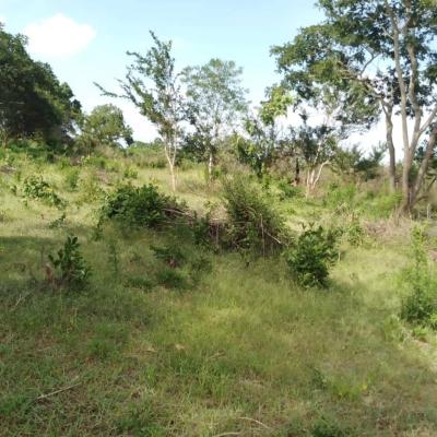 Plots for sale at Mlandizi, Pwani