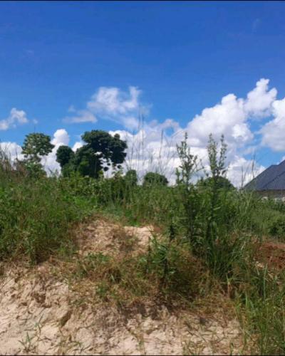 Plot for sale at Mwengemshindo, Ruvuma