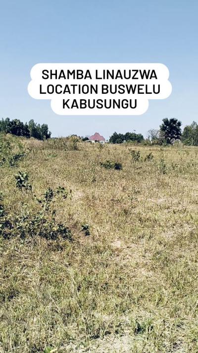 Farm for sale at Buswelu, Mwanza