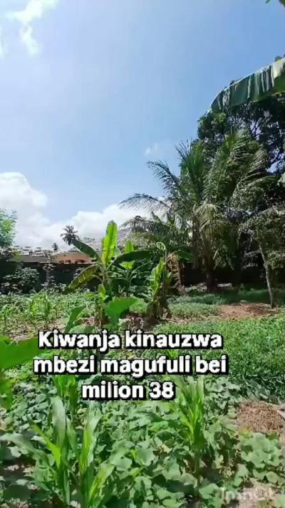 Kiwanja kinauzwa Tambalale, Tabora