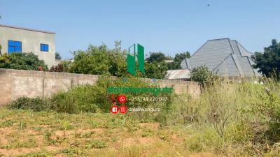 Plot for sale at Kiseke, Mwanza