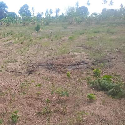 Plots for sale at Chanika, Dar Es Salaam