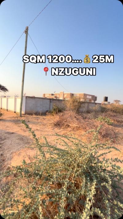 Plot for sale at Nzuguni, Dodoma