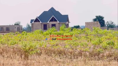 Plots for sale at Kisesa, Mwanza