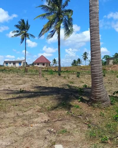 Viwanja vinauzwa Chanika, Dar Es Salaam