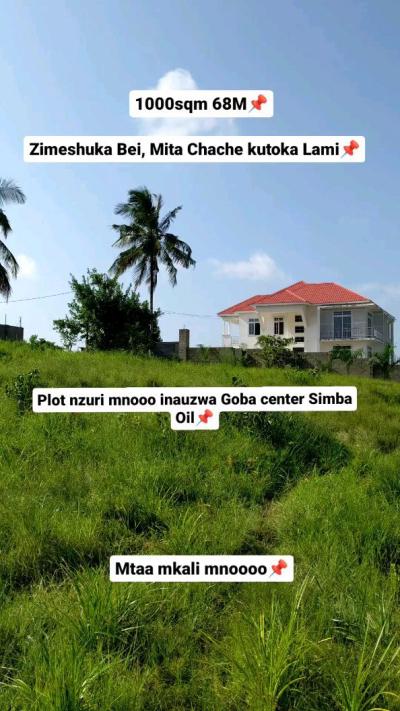 Plot for sale at Mkali, Rukwa