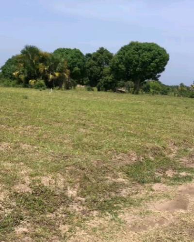 Plots for sale at Mbutu, Tabora